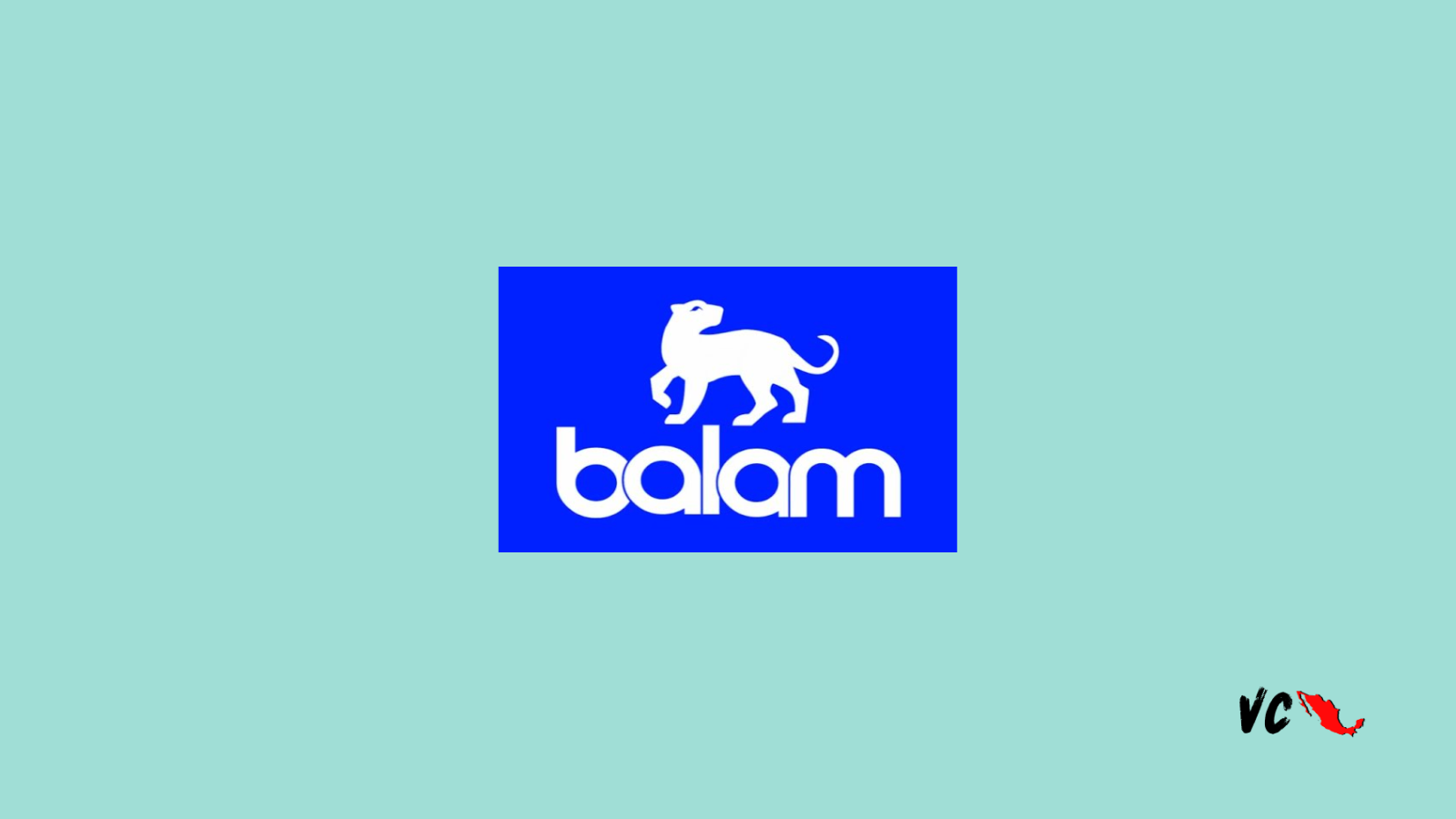 Startup Mx: Balam